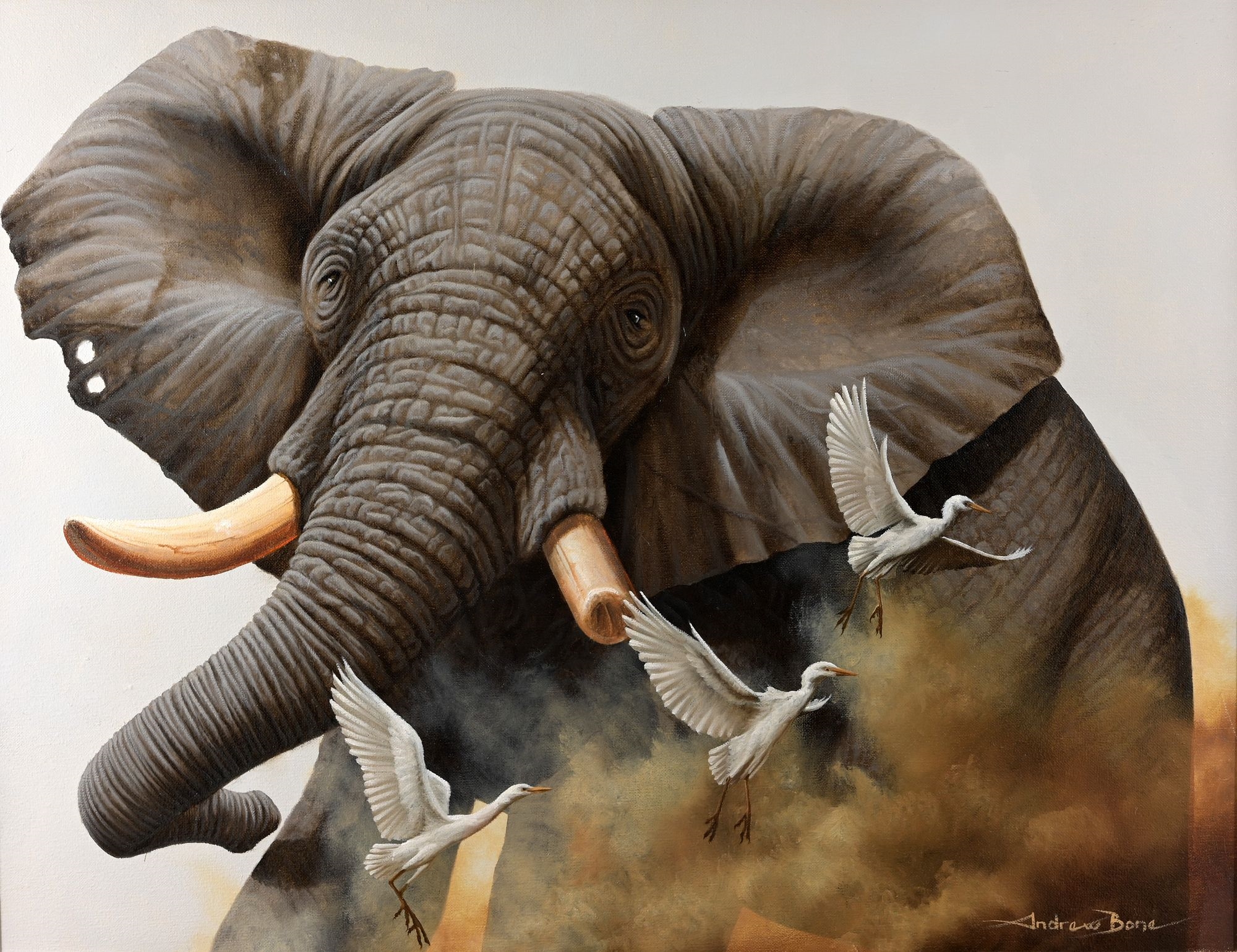 Andrew Bone | Flight of Egrets | MutualArt