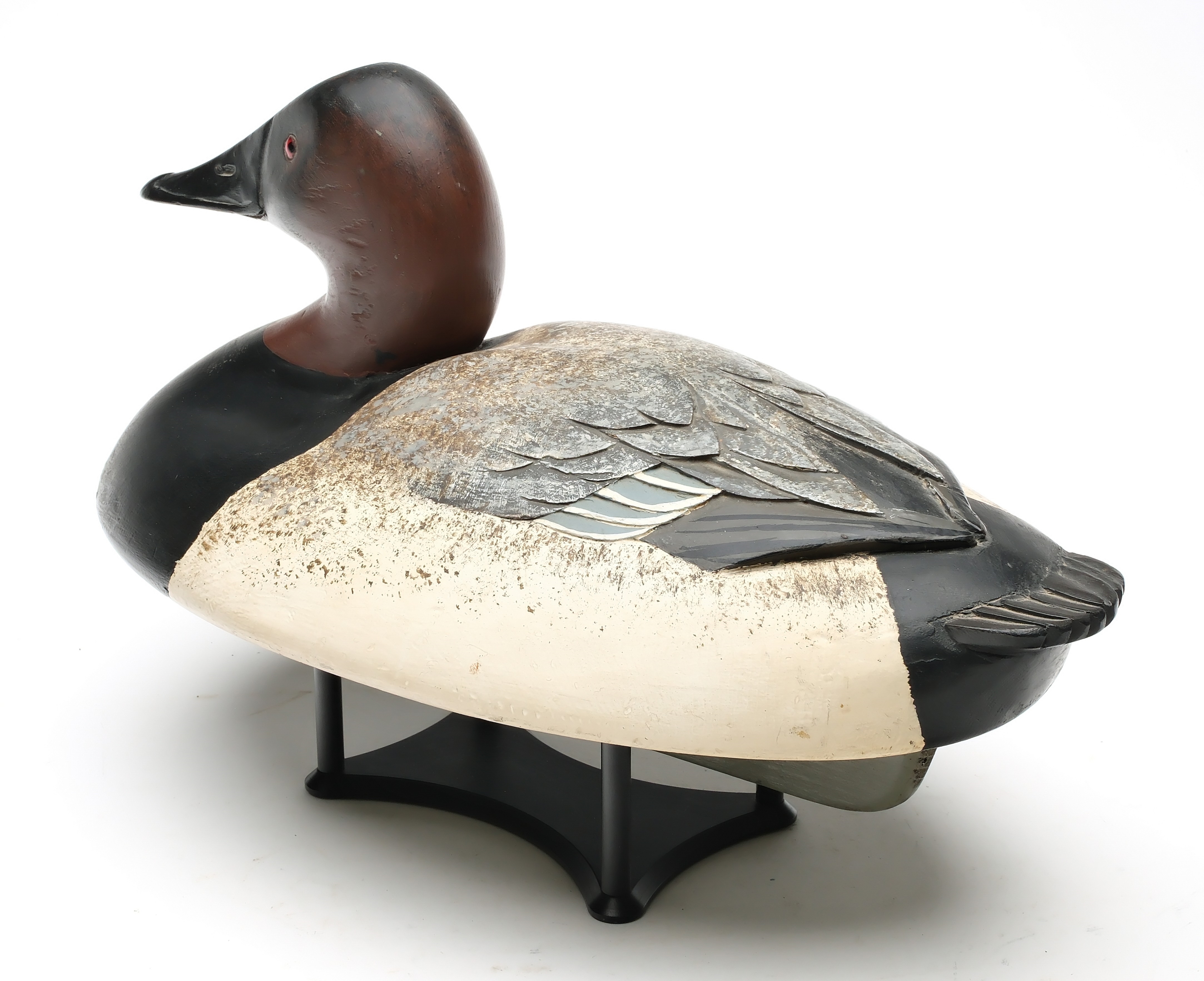 Ferdinand Bach | Excellent canvasback with reared back and tucked head ...