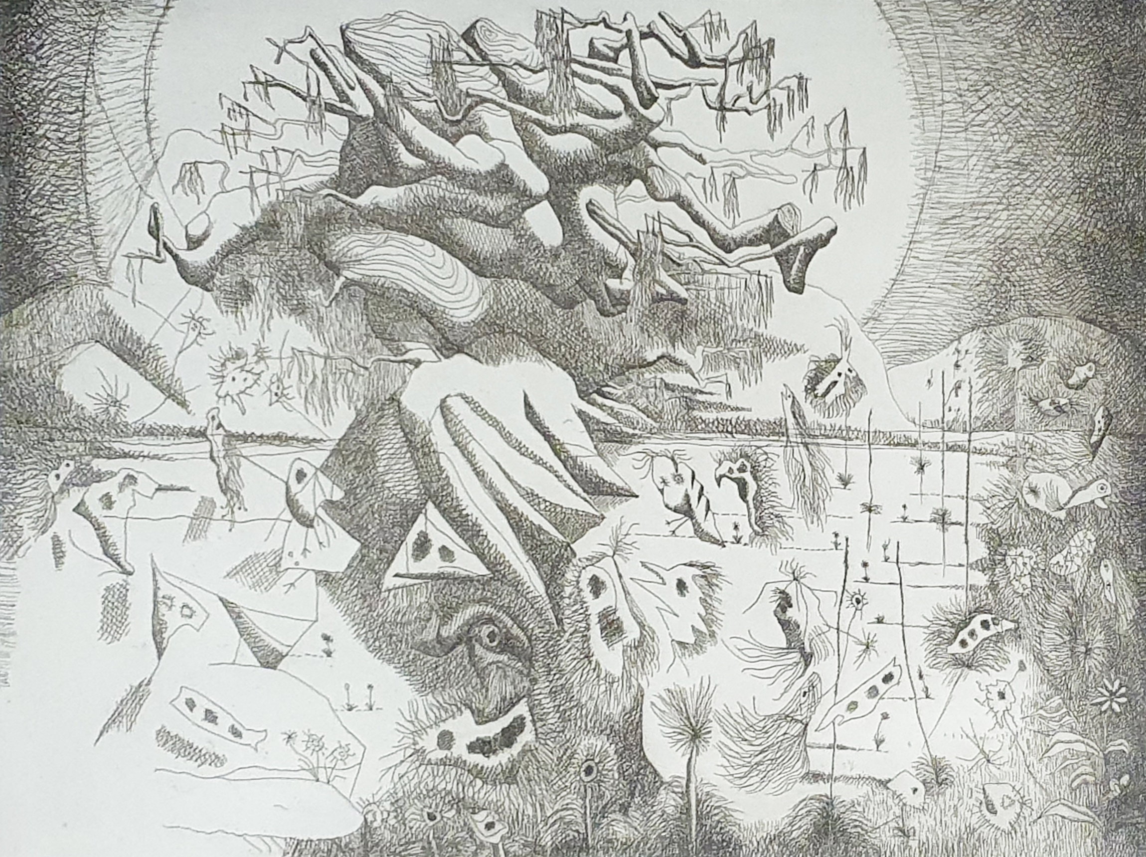Keith Looby | History of Australia, First Life (1976) | MutualArt