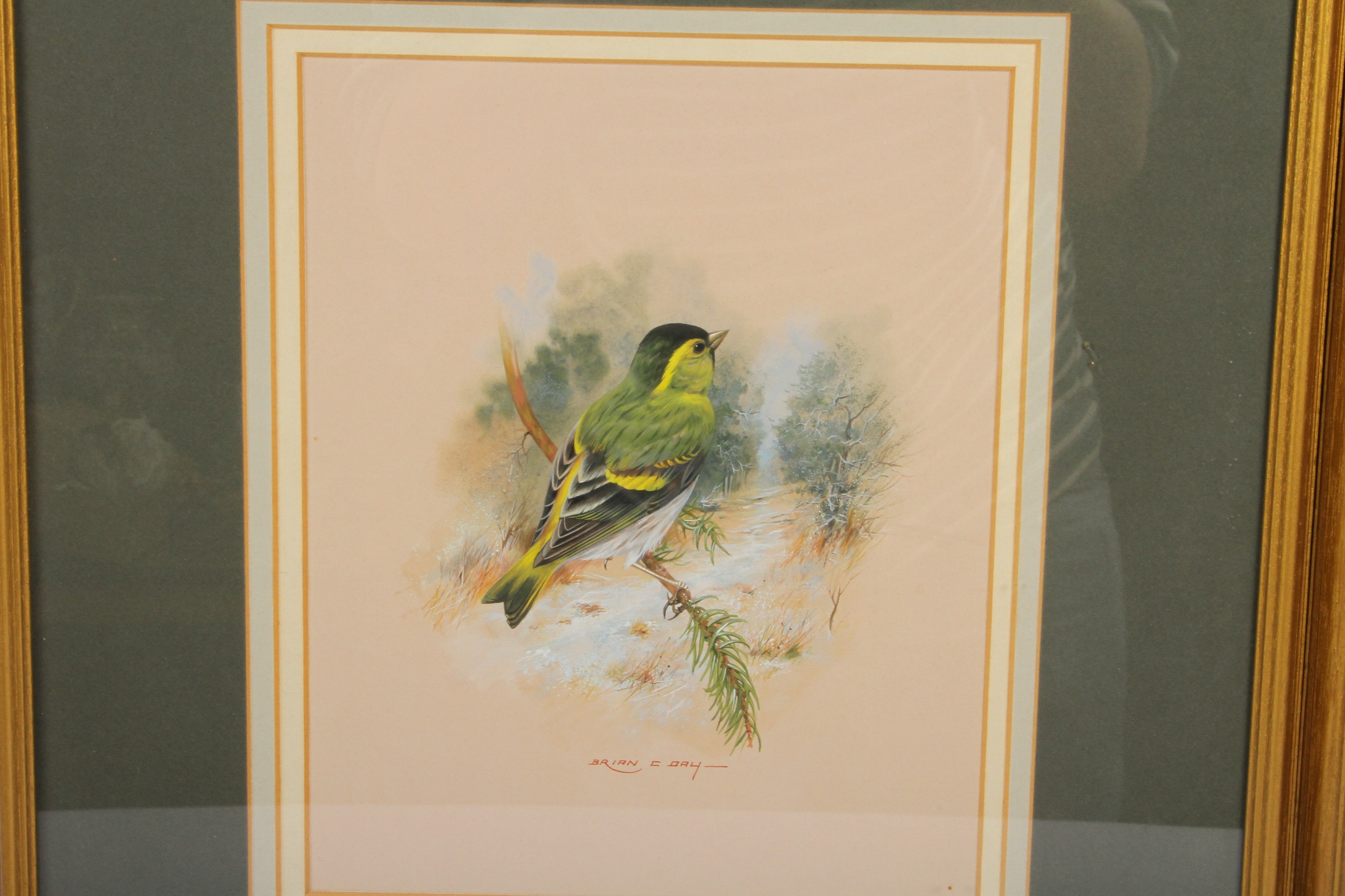 Brian C. Day | Reed bunting bird by a Norfolk windmill | MutualArt