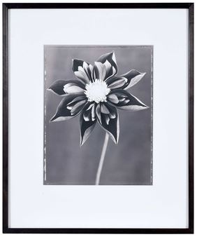 Ron Van Dongen | 36 Artworks at Auction | MutualArt