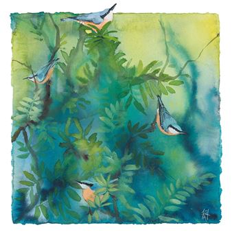 Sheila Anderson-Hardy: Wild - The Scottish Gallery