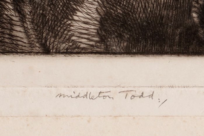Arthur Ralph Middleton Todd | The Listener | MutualArt