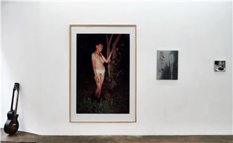 From the Collection