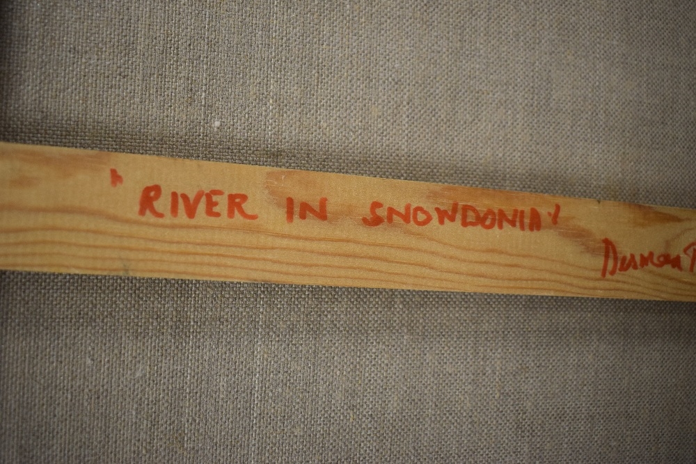 Desmond Turner | River in Snowdon (2004) | MutualArt