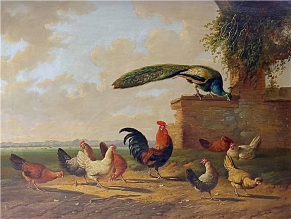 A peacock perched on a stone wall overlooking a flock of chickens in a pastoral landscape.