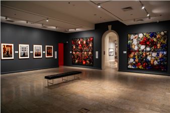 Dr Christian Thompson AO: House of Gold - Cairns Art Gallery