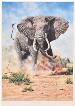Sporting & Wildlife Auction - Hall's Fine Art