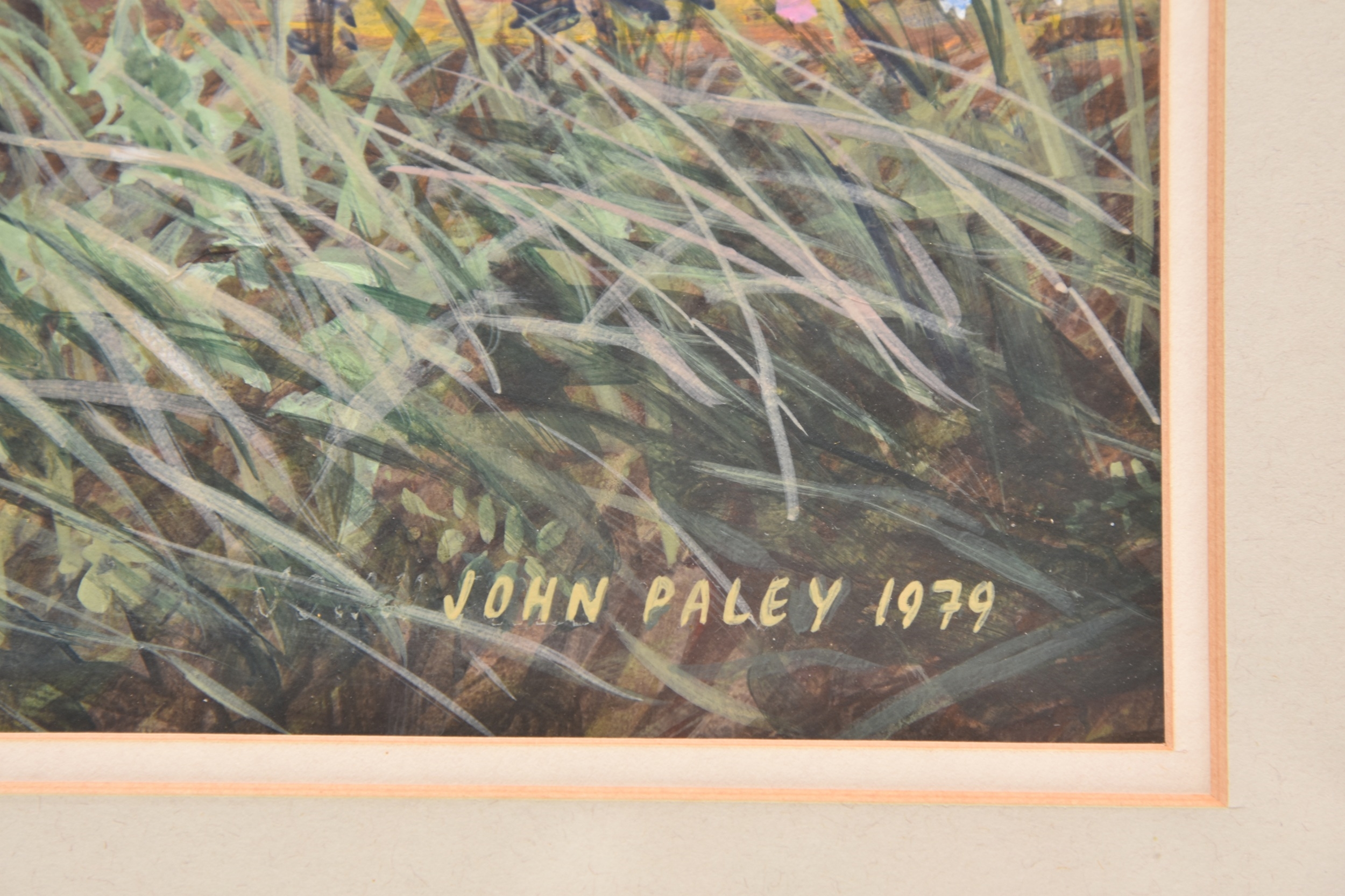 John Paley | French Partridges overlooking a Haymaking Scene (1979 ...