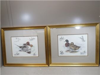 Matching framed prints of the Pintail and Mallard - Nigel Hemming