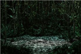 Neither Water Nor Land at Ujazdowski Castle Centre for Contemporary Art
