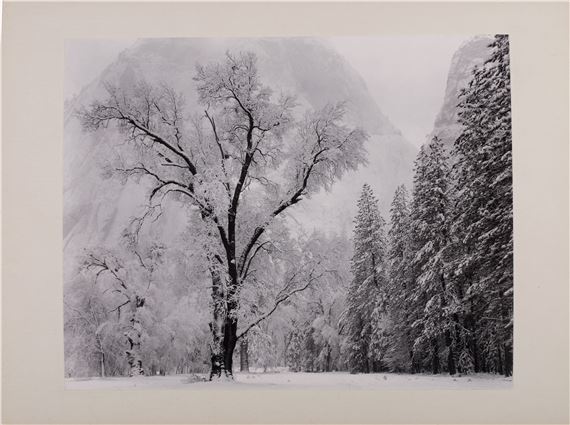 Oak Tree, Rain California, Hopi Buttes, Arizona, Oyster Fence, Tomales Bay, California, Moro Rock, Sierra Foothills, Mono Lake, California, Oak Tree Snowstorm, California - Ansel Adams