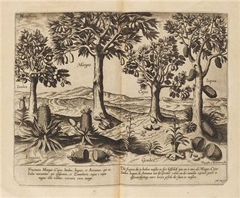 Navigatio in orientalem. - Descriptio totius Guineae - Jan Huygen van Linschoten