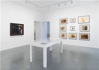 Soulages-Hartung: Affinités électives - Perrotin, Paris (Turenne)