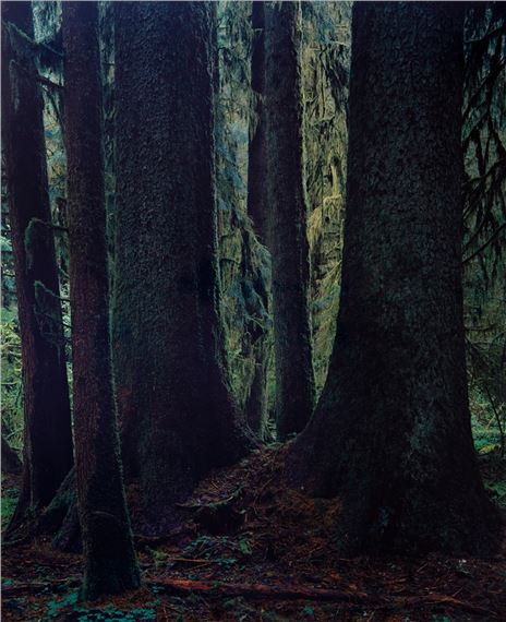 Yoshihiko Ueda | Quinault # 8 (1991) | MutualArt