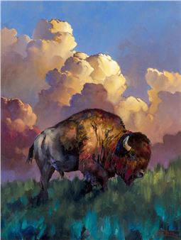 A majestic bison stands in a grassy field under a dramatic, colorful sky.