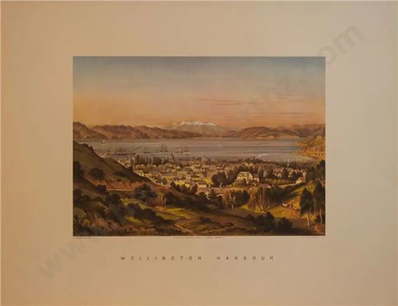 Charles Decimus Barraud | Wellington Harbour (1877) | MutualArt