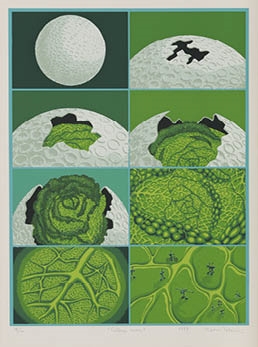 Tiger Tateishi | Cabbage moon (1979) | MutualArt