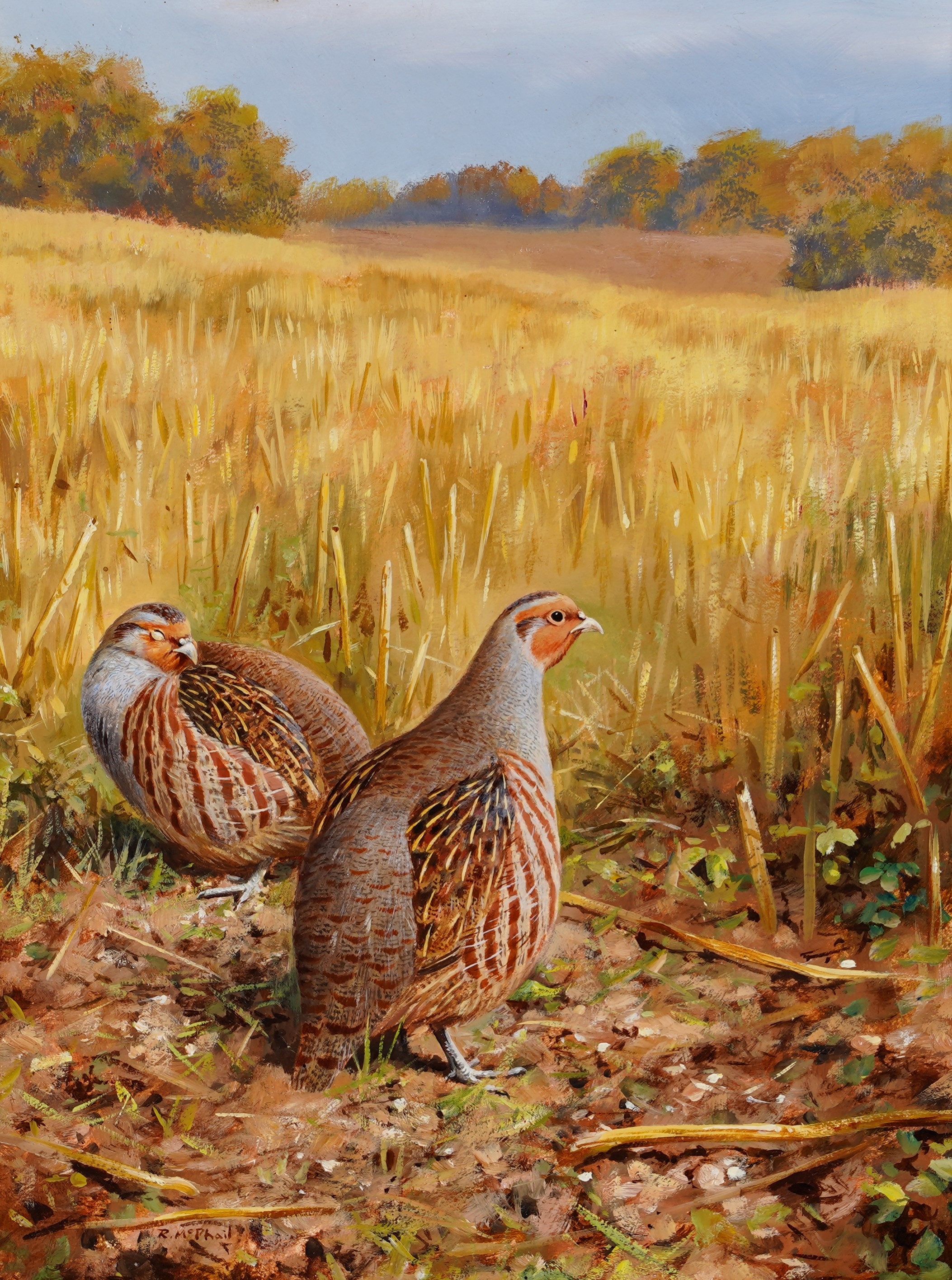 Rodger McPhail | Two Partridges | MutualArt