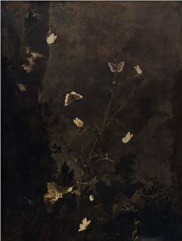 A dark, atmospheric still life featuring delicate white flowers and butterflies against a textured, shadowy background.