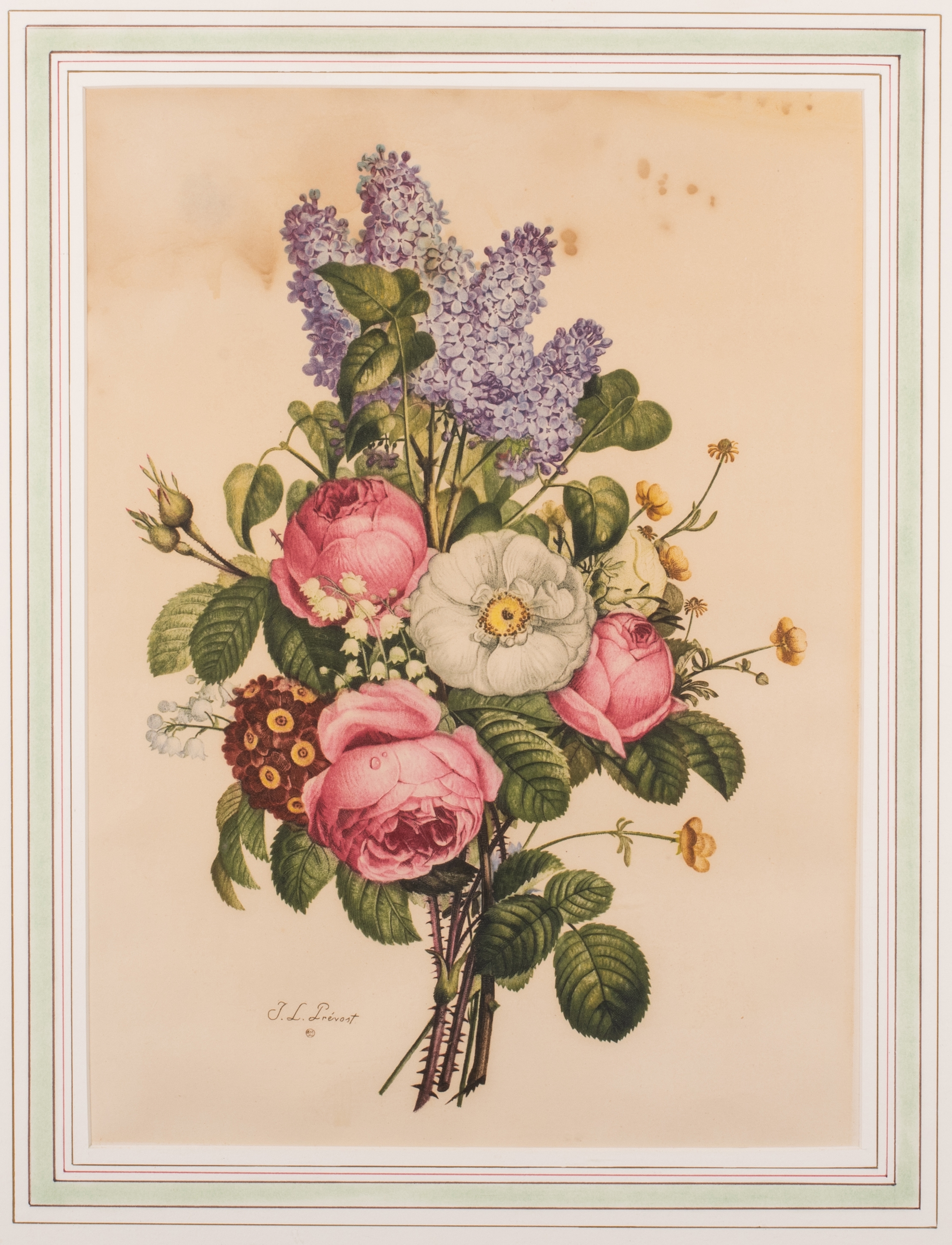 Jean-Louis Prévost | Pair of Floral Botanical Prints after Jean Louis ...