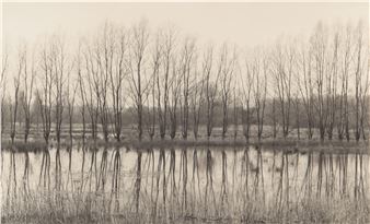 Tomio Seike | 106 Artworks at Auction | MutualArt