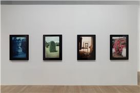 David Armstrong: Portraits | Exhibitions | MutualArt