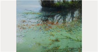 196th RHA Annual Exhibition in Association with McCann FitzGerald