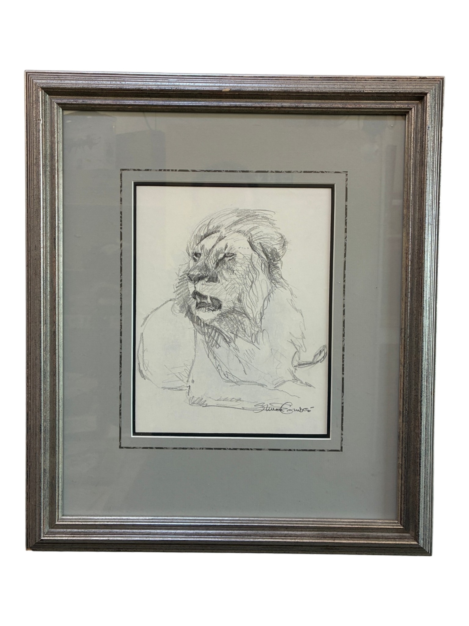 Simon Combes | Study of a lion | MutualArt
