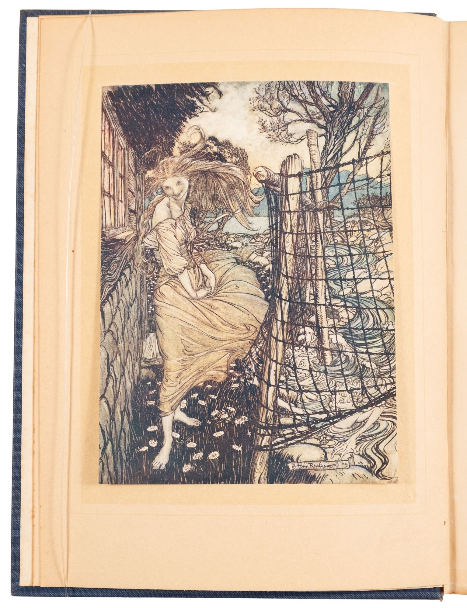 Arthur Rackham | Peter Pan in Kensington Gardens, Undine, Some British ...