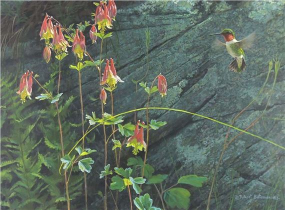 Robert McLellan Bateman | Ruby-Throat and Columbine | MutualArt