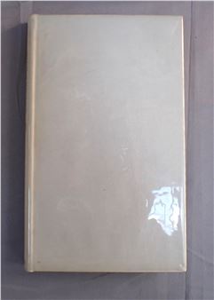 A minimalist book cover with a plain, off-white surface and subtle texture.
