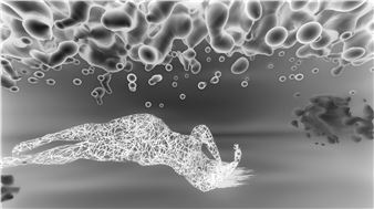 Consciousness of Stream - Patrick Mikhail Gallery, Montreal