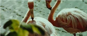 Invitation to Openness - Patricia & Phillip Frost Art Museum