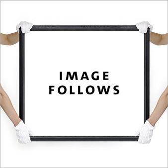 A minimalist composition featuring four arms in white gloves holding a black frame around the words 'IMAGE FOLLOWS'.