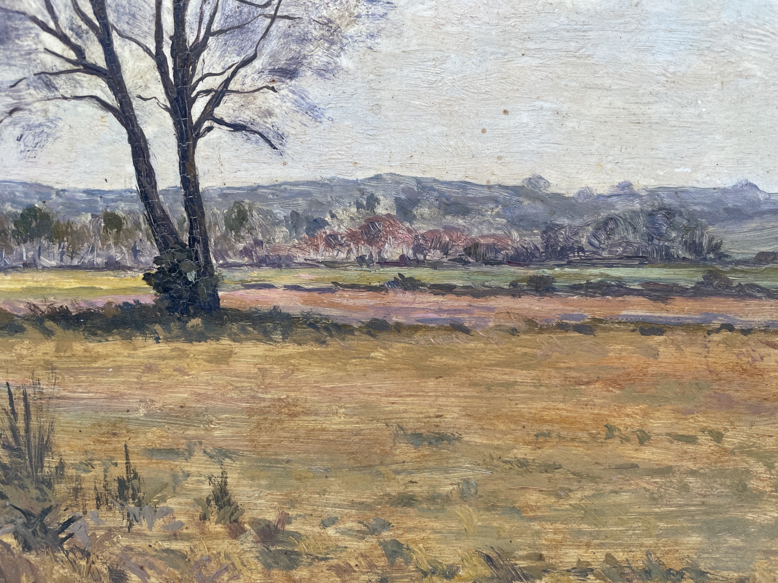 Barbizon School, 19th Century | The Field of Trees (Late 19) | MutualArt