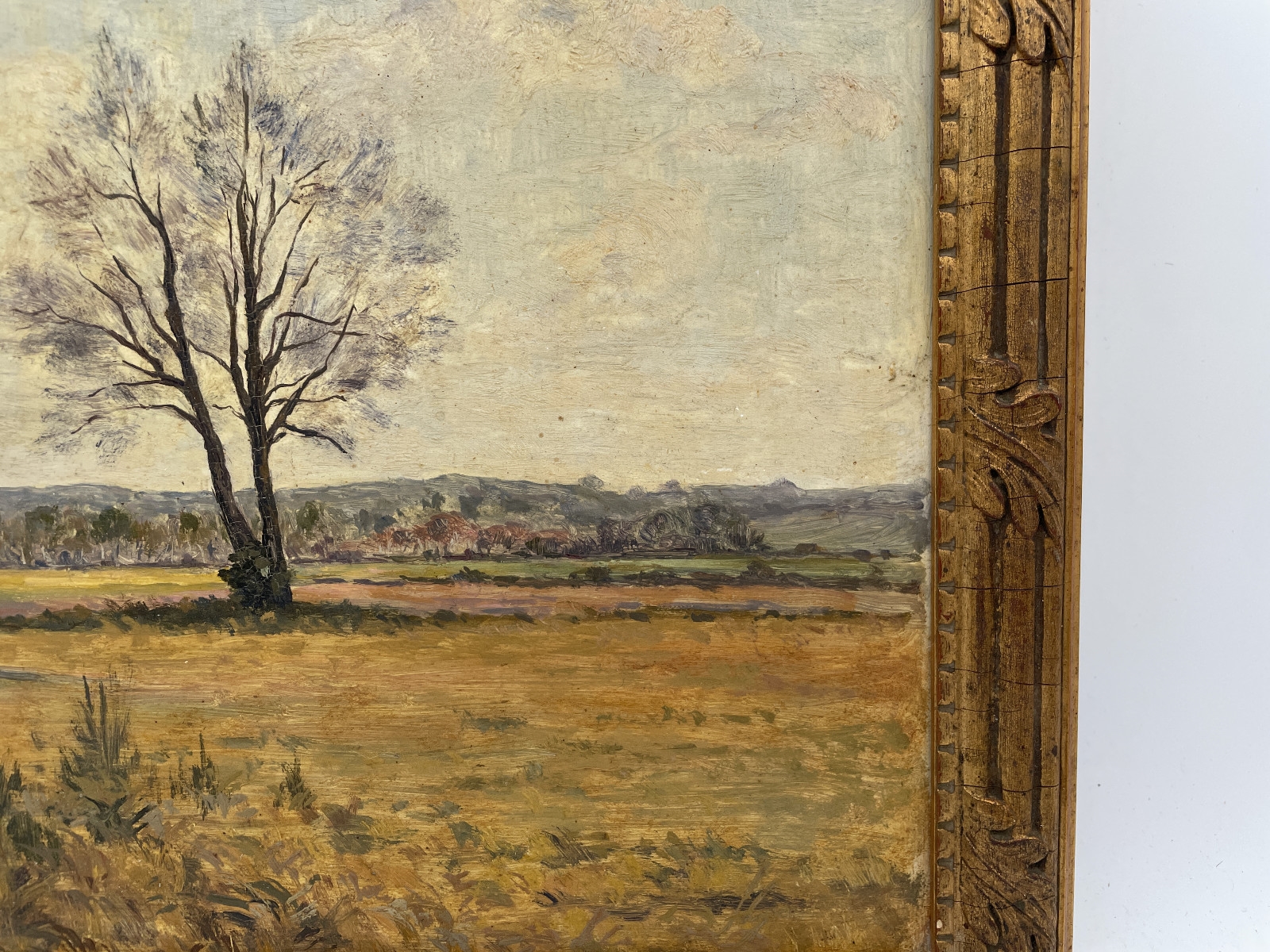 Barbizon School, 19th Century | The Field of Trees (Late 19) | MutualArt