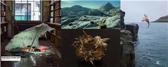 Inside Voices, Outside Light: Perspectives on West Nordic Art - Scandinavia House