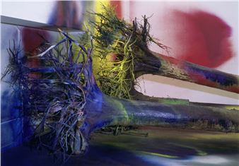 Katharina Grosse. Arrels - Es Baluard, Museum of Modern & Contemporary Art