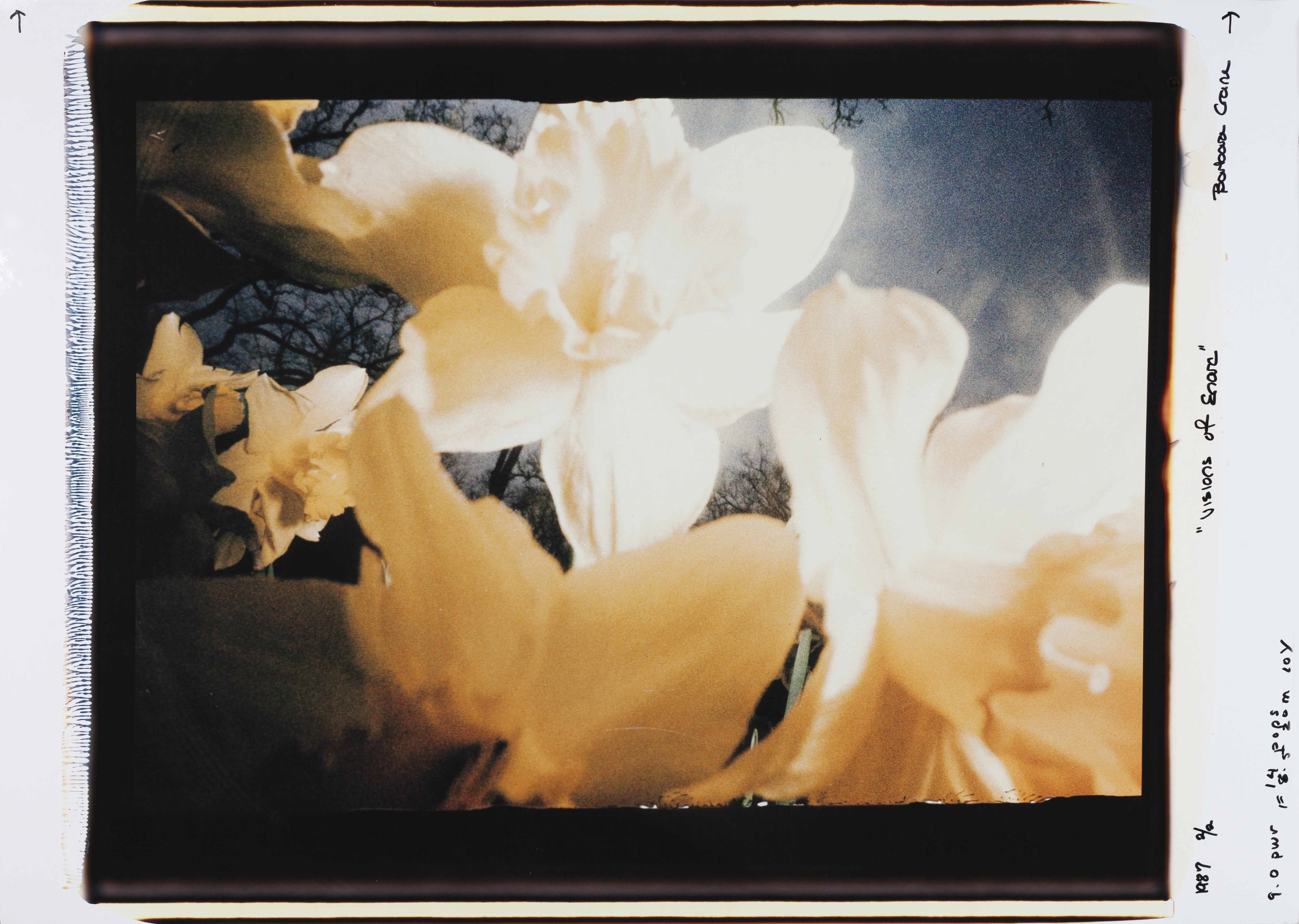 Barbara Crane | 37 Artworks at Auction | MutualArt