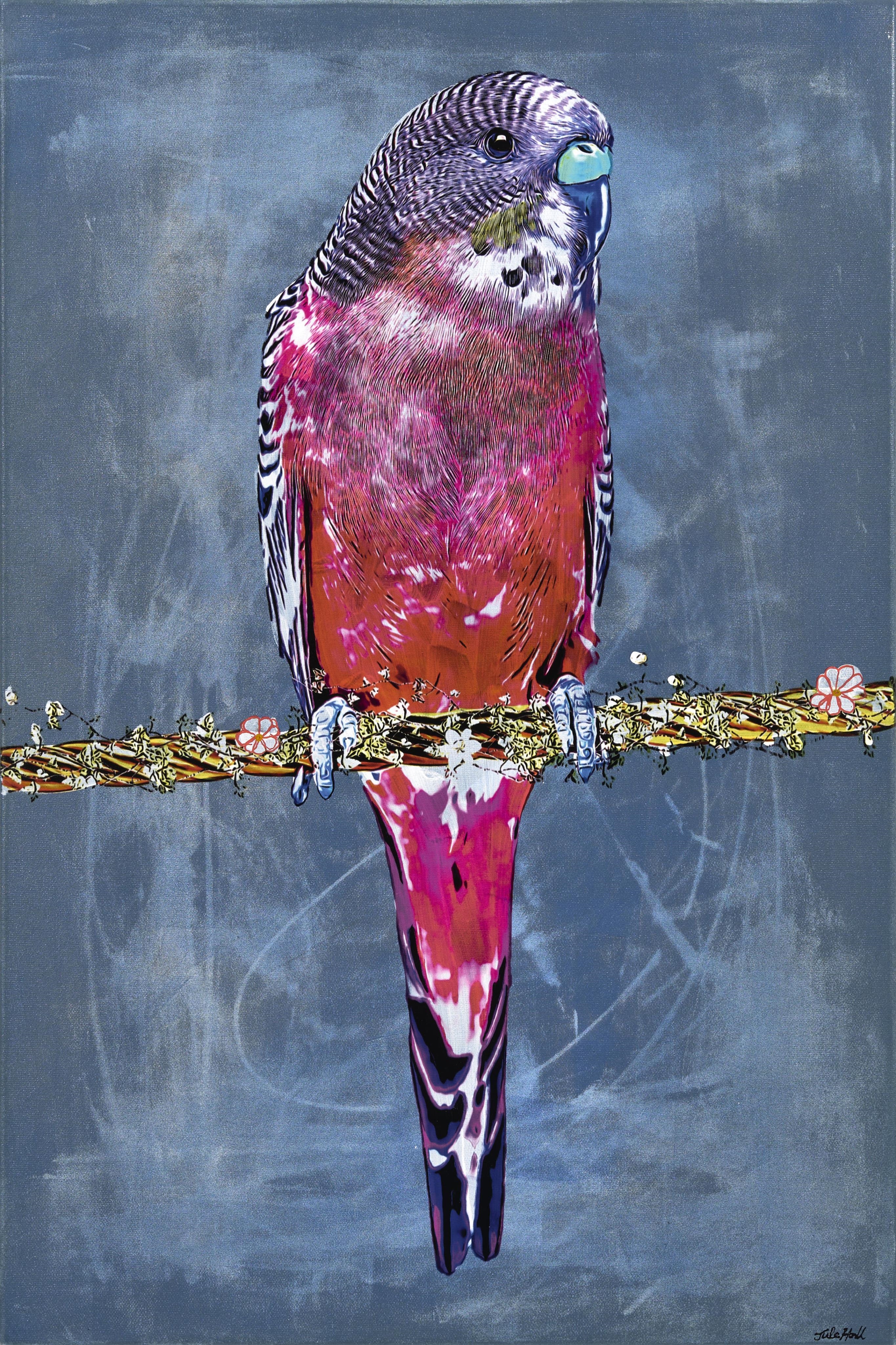 Jules Hall | Teal & Pink Budgie | MutualArt