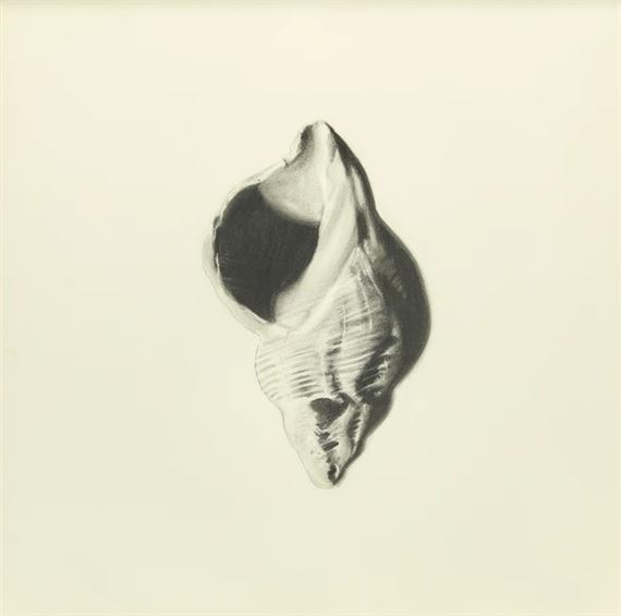 Hugo Wilson | Shell | MutualArt