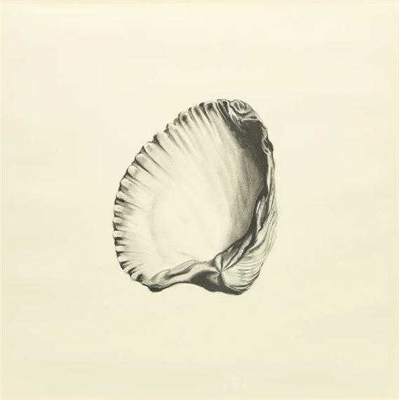 Hugo Wilson | Shell | MutualArt