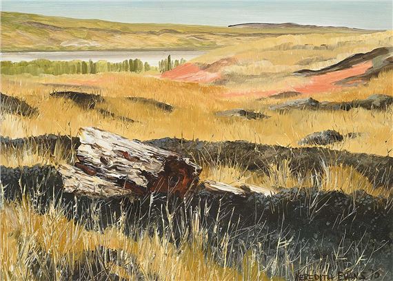 Badlands - Meredith Evans