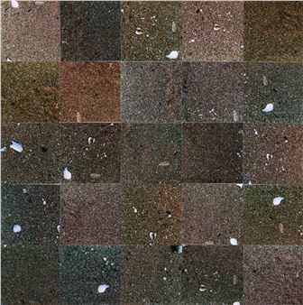 A grid of earthy squares featuring sand, pebbles, and scattered white shells.