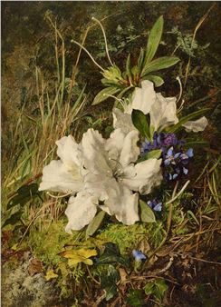 A detailed botanical study of white lilies and small blue flowers nestled among moss and foliage.