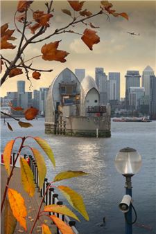 Emily Allchurch: Flow - James Freeman Gallery