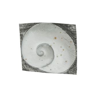 A monochromatic drawing of a spiral shell with scattered golden specks.