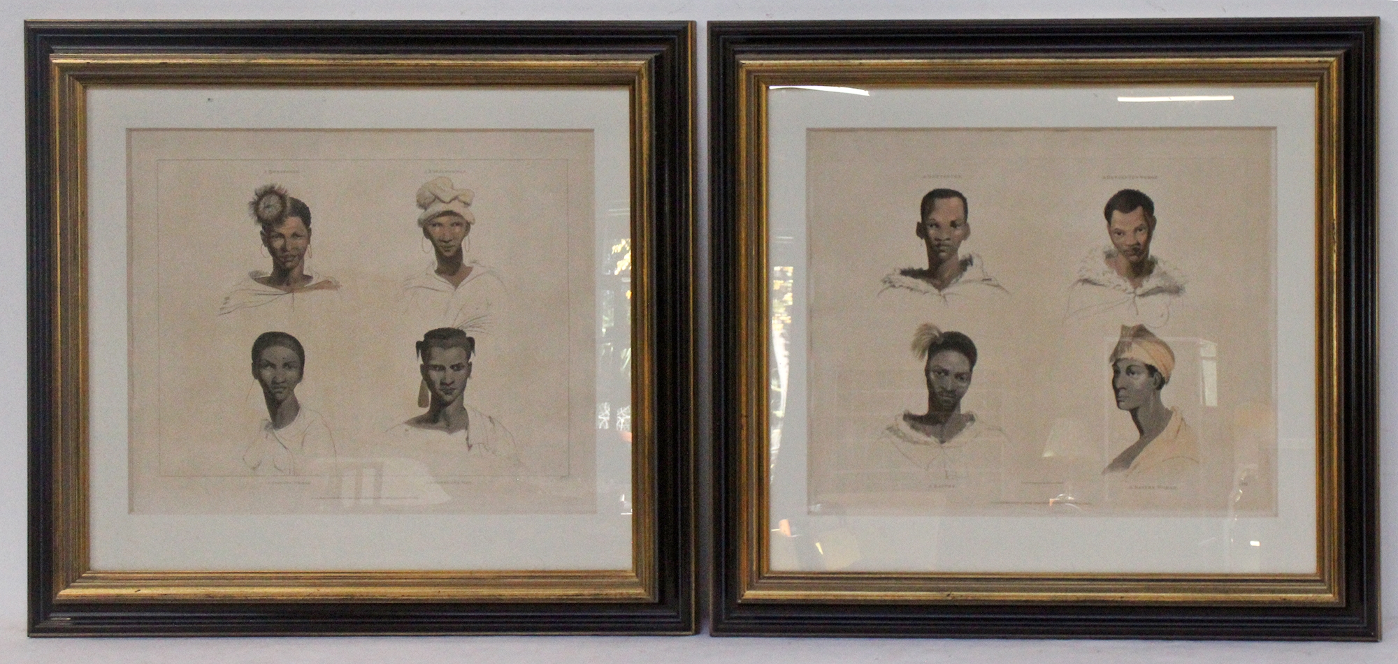 Samuel Daniell | 2 x Samuel Daniell Engravings | MutualArt