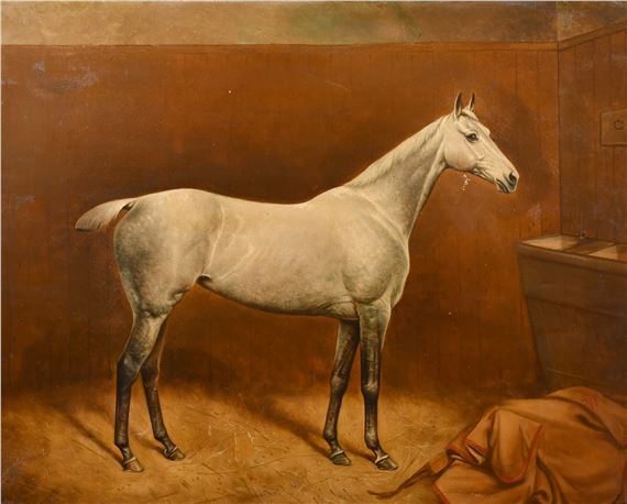 A white horse stands in a brown room with a draped cloth nearby.